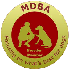 Ridgy Didge is a member of Master Dog Breeders Association Master Dog Breeders Association badge